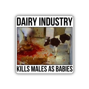 Vegan activist stickers pack Dairy industry kills males calf as babies Milk is Murder Activism sticker for vegans defend victim animal right