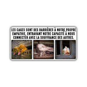 Vegane activist sticker pack paquet collant activiste libération animale droit animaux cage empathy connecter souffrance autre animaux fta