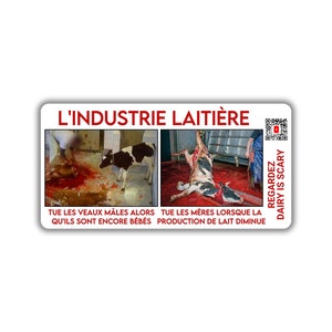 Vegane activist sticker pack paquet collant activiste libération animale droits animaux industrie laitière tue des veaux mâles et des mères