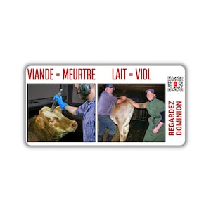 Vegane activist sticker pack paquet collant activiste libération animale droit animaux viande meurtre lait vio vache exploité abusé Dominion