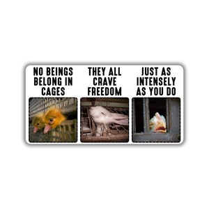 Vegan activist stickers pack animals in cage confine chicken duck rabbit no beings belongs in cages crave deserve freedom for all animals