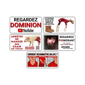 Végane activiste autocollants paquet pack sticker activist (Dominion, bottes mouton, cochon viande, regardez pignorant, meme manger animaux)