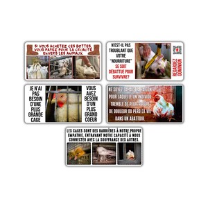 Végane activiste autocollants paquet pack sticker activist (bottes peau mouton, cochon peur,poule cage, sang abattoir, empathy lapin canard)