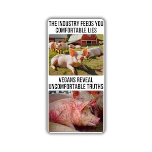 Vegan activist stickers pack Industry comfortables lies vegan uncomfortable truths pig ethical local farm pig truck transport slaughterhouse