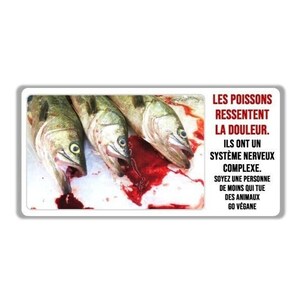Sticker lot poissons aquarium - Sticker A moi Etiquette & Autocollant