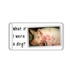 Vegan activist stickers pack Pig hurt bloog suffer What if I were a dog pig agonizing blood pig suffering piglet in pain rescue the victim