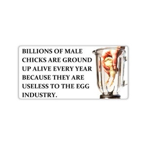 Vegan activist stickers pack Hand putting chick grinder Billions of male chicks are ground up alive male chick useless love animal lover