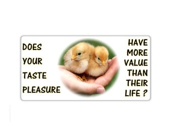Vegan activist stickers pack Two beautiful chicks in hand Does your taste pleasure have more value than their life cute chicken hen sticker