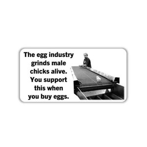 Vegan activist stickers pack Chick falling in grinder The egg industry grind male chicks alive You support this when you buy eggs industry