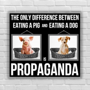 Vegan sticker Only difference eating pig eating dog propaganda killing pig killing dog animal equalty go vegan for animals rights liberation