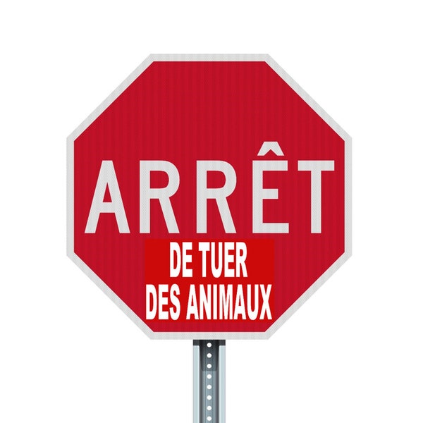 ARRÊT de tuer des animaux Végane activiste autocollants paquet pack sticker activist êtres sensibles droits des animaux éthique animale