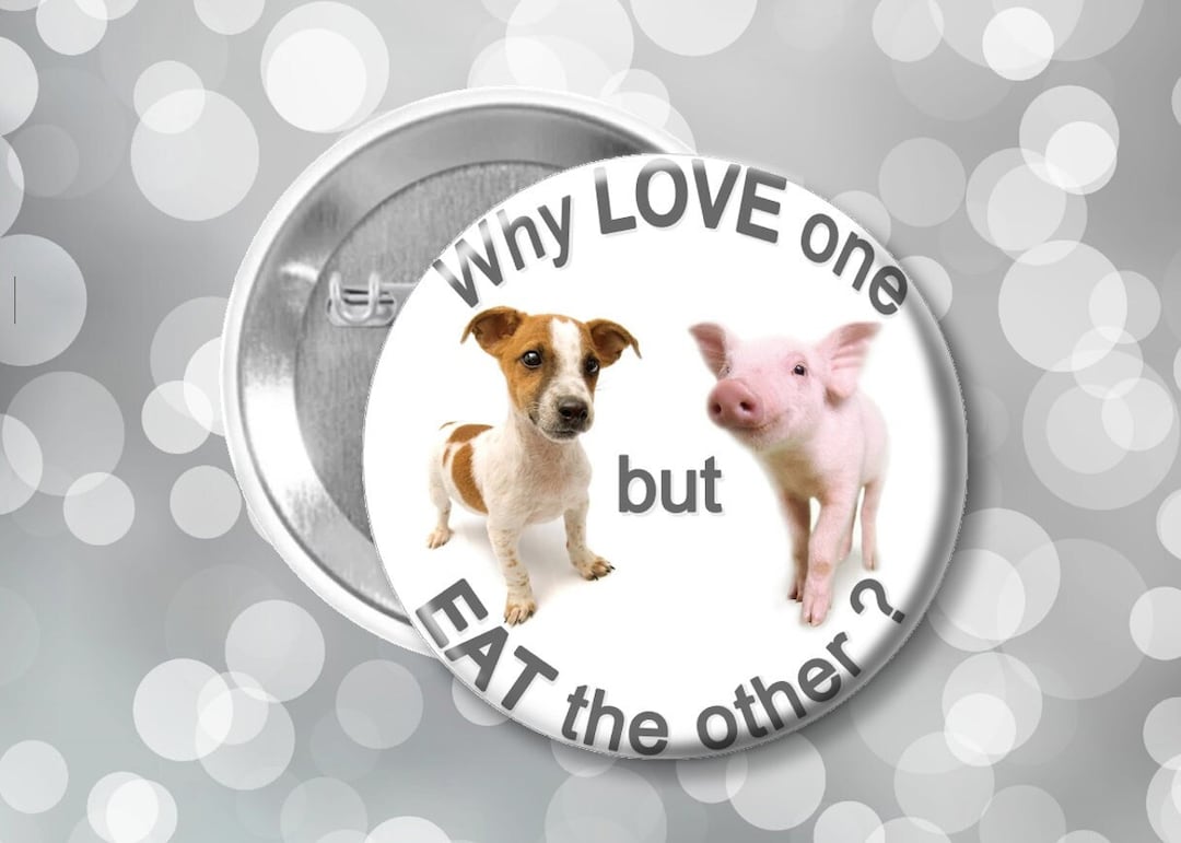 Vegan Pinback Button Badge Why Love One but Eat the Other Pinback