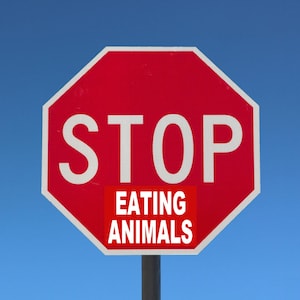 Stop eating animal sticker stop sign sticker vegan sticker animal right sticker activist sticker vinyl decal sticker activism sticker pack