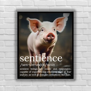 Vegan sticker Sentience definition cute pig are sentient stop abuse murder animals rights go vegan for animal liberation leave animals alone