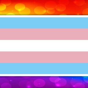 LGBTQ sticker (Transgender Pride Flag)
