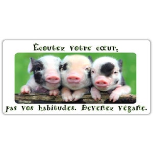 Végane activiste autocollants résistants à l'eau paquet droits des animaux pack sticker activist water resistant (coeur devenez végane)