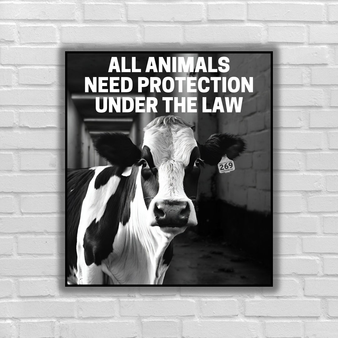 Cows Rights Vegan Sticker All Animals Need Protection Under the Law Sticker Cow ...