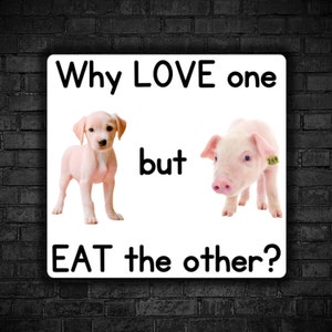 Vegan sticker Why love dog but eat pig respect all beings love all animals right to rescue animal liberation for all end speciesism is wrong