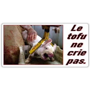 Végane activiste autocollants résistants à l'eau paquet droits des animaux pack sticker activist water resistant (le tofu ne crie pas)