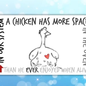 Vegan sticker (In our system a chicken has more space in the oven than he ever enjoyed when alive)