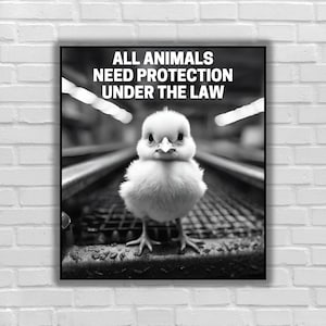 Vegan sticker All animals need protection under the law sticker chick animal activist equality justice for animal liberation animal rights