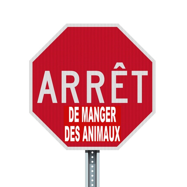 ARRÊT de manger des animaux Végane activiste autocollants paquet pack sticker activist êtres sensibles droits des animaux éthique animale