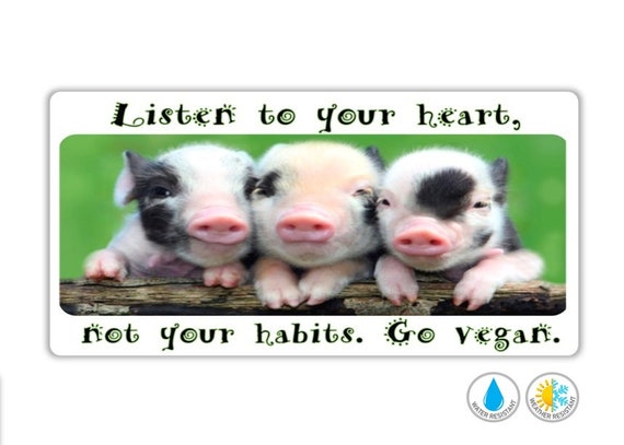 30 Vegan antispecist water resistant stickers 4EW