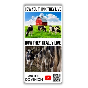 Vegan activist stickers pack Cows outside eating grass cows inside in mud How you think they live How they really live animal exploitation