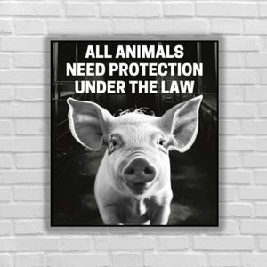 Vegan sticker All animals need protection under the law pig vegan for life vegan for animal activist equality for animal liberation rights