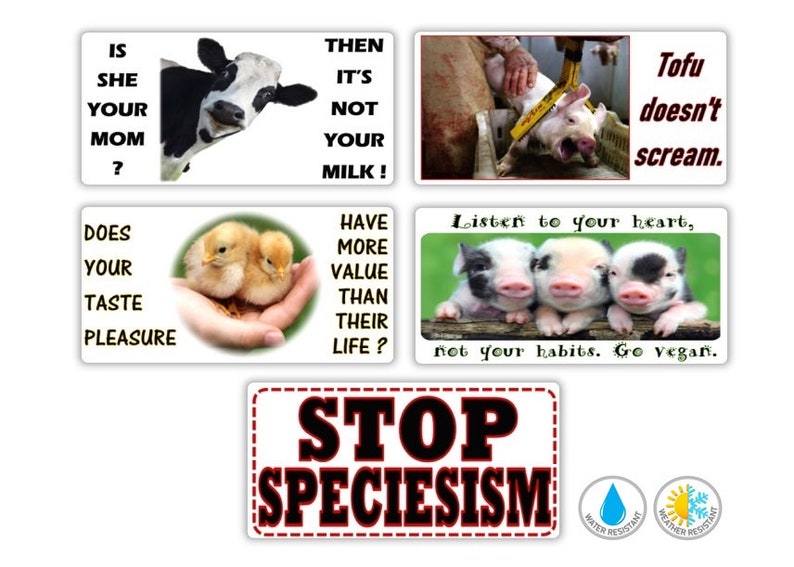30 Vegan antispecist water resistant stickers 4EW