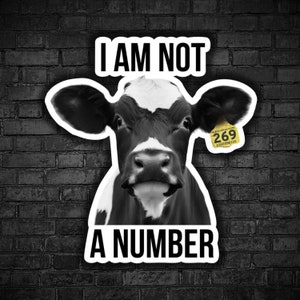 Vegan sticker I am not a number black cows are sentient cow feel pain animal exploitation watch dominion on youtube animal rights stop abuse