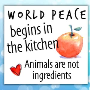 Vegan sticker (World peace begins in the kitchen Animals are not ingrédients)
