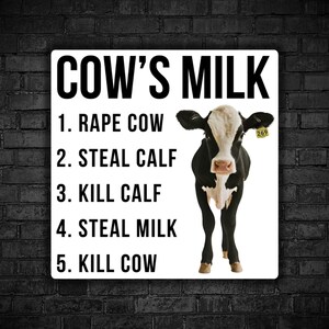 Vegan sticker Dairy Cows milk rape cow steal calf kill calves animals exploitation animal liberation for animal milk industry kill male calf