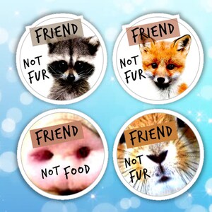 4 Vegan stickers (fox pig tiger raccoon / Friends not fur / Friends not food) 6E