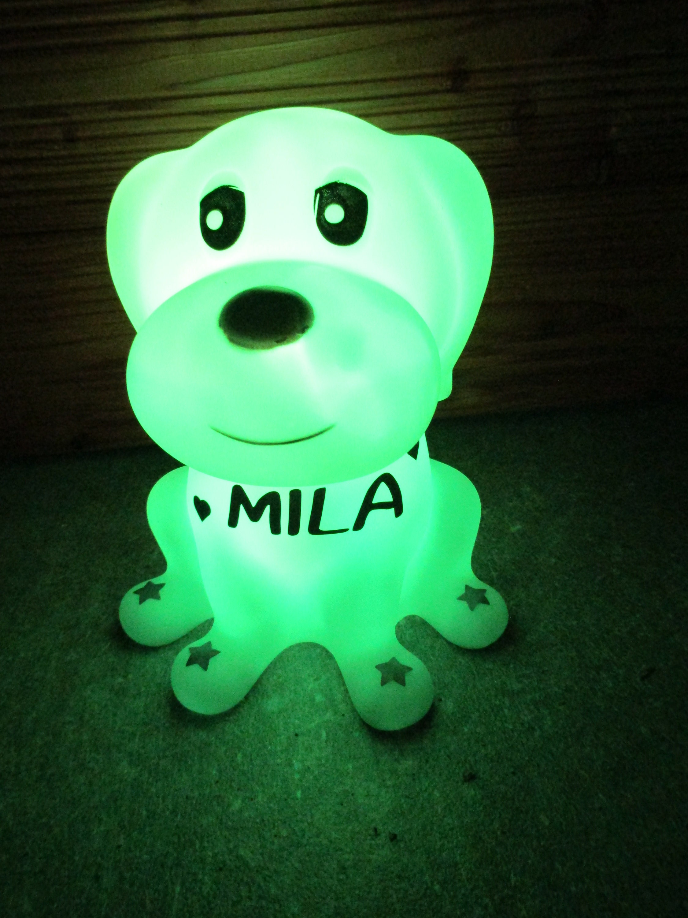 nachtlicht hund