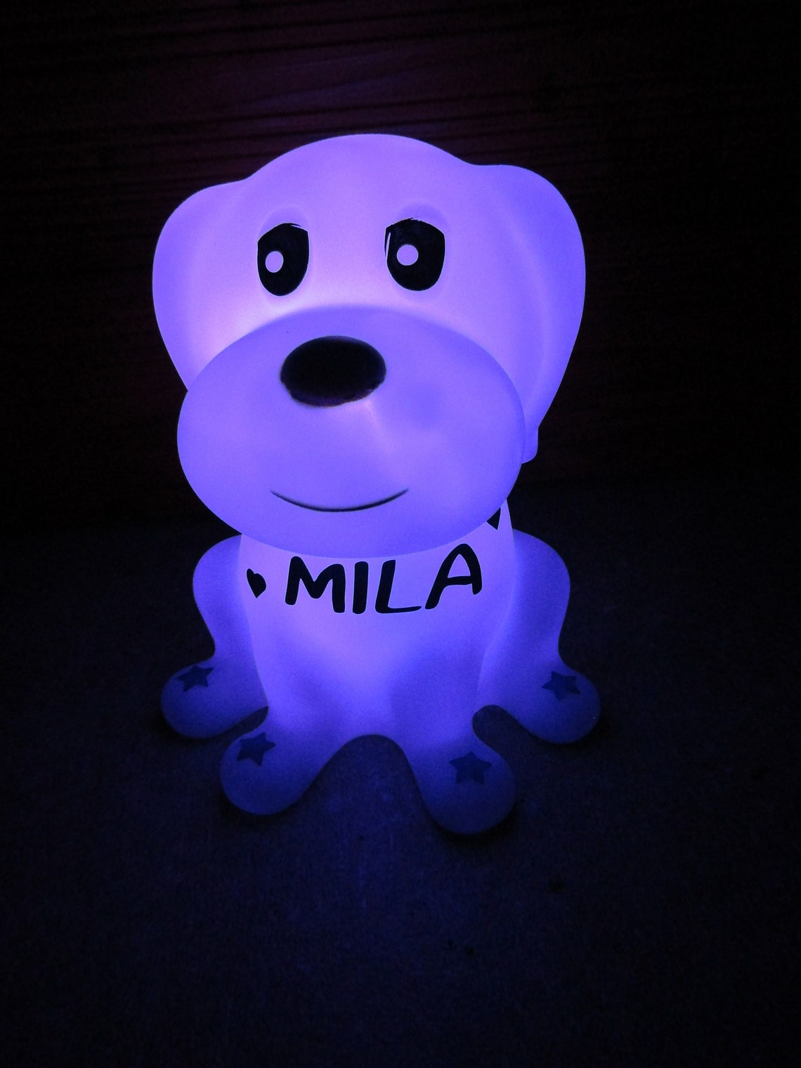 LED Nachtlicht Hund mit Namen / Personalisiert / Farbwechsel / Etsy