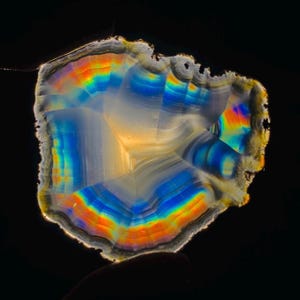 May include: A slice of agate with a rainbow iridescence. The agate has a white centre with blue, orange, and yellow bands.