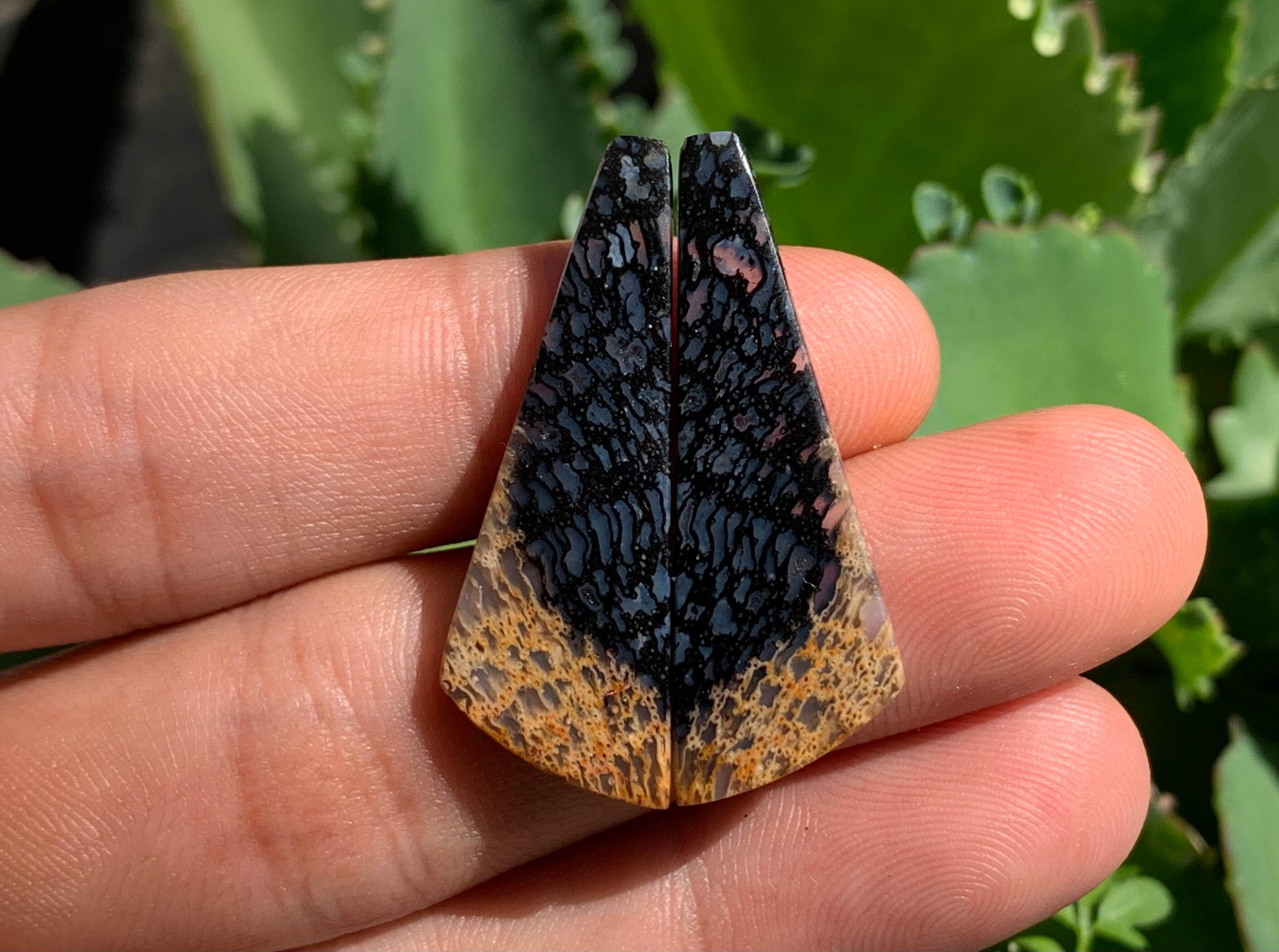 Black Palm Wood Black Palm Wood Cabochon black Palm Wood Etsy
