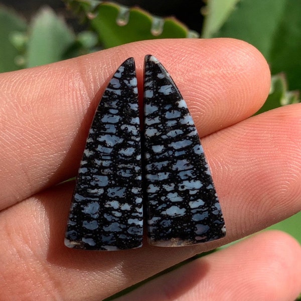 Black Palm Wood Etsy