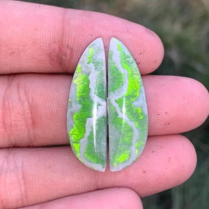 May include: Two matching teardrop-shaped cabochons featuring a smooth, polished surface with a distinct pattern of vibrant, neon green, iridescent veins set against a translucent, milky white, and pale grey background with a glossy finish.