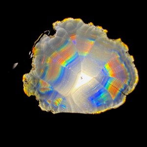 Multi Layer Rainbow Iris Agate Slice – Indonesia Rare Agate Collection