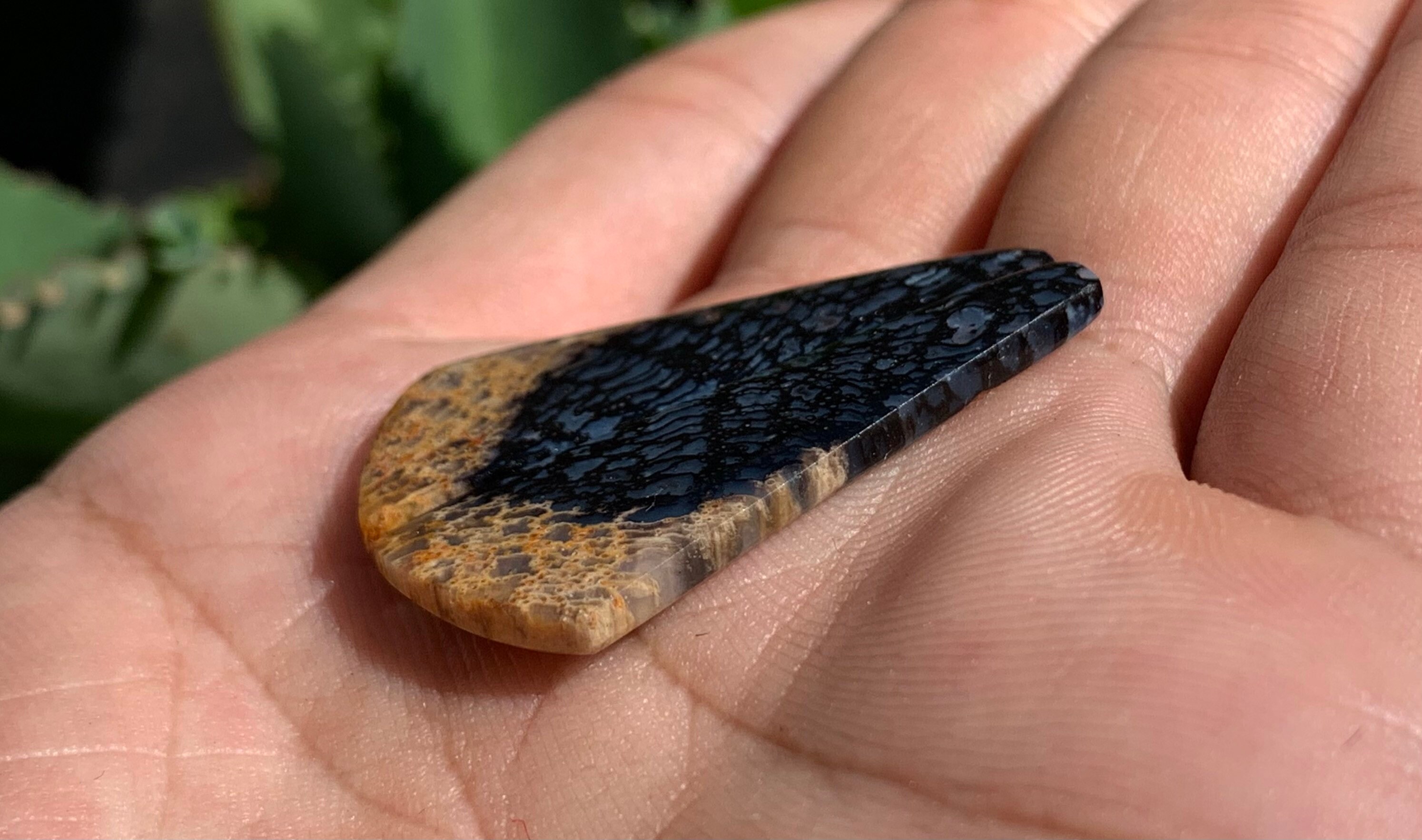 Black Palm Wood Black Palm Wood Cabochon black Palm Wood Etsy