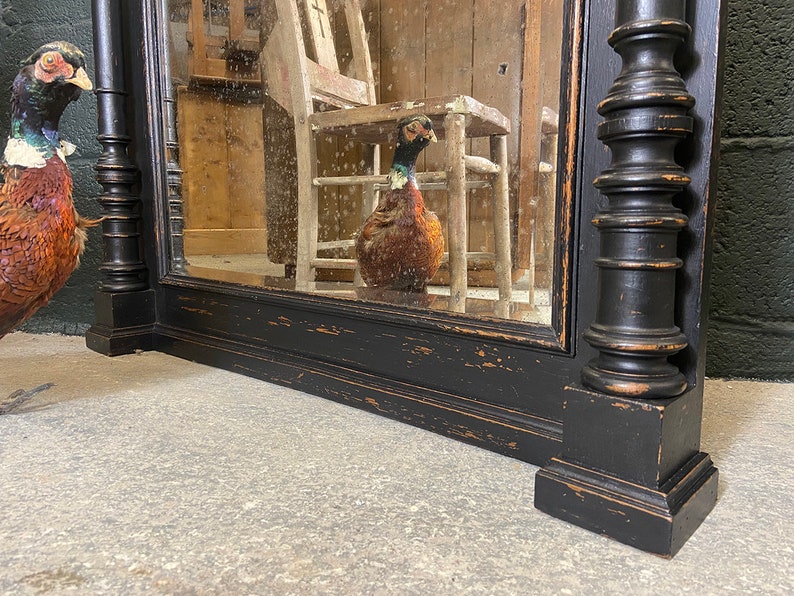 May include: A black wooden mirror with a distressed finish and ornate detailing. The mirror is reflecting a pheasant.