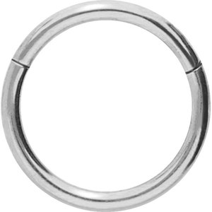 piercinginspiration® Titan Basic Ring Clicker Piercing Segmentring Prata