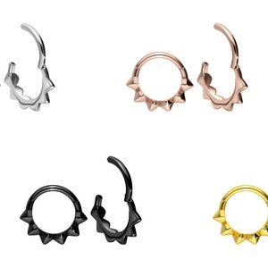 piercinginspiration® Clicker Ring Piercing 6 embouts anneau segment