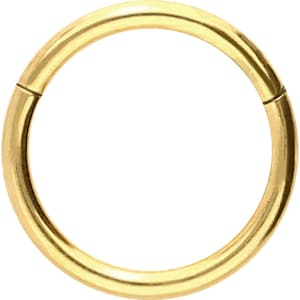 piercinginspiration® Titan Basic Ring Clicker Piercing Segmentring Ouro