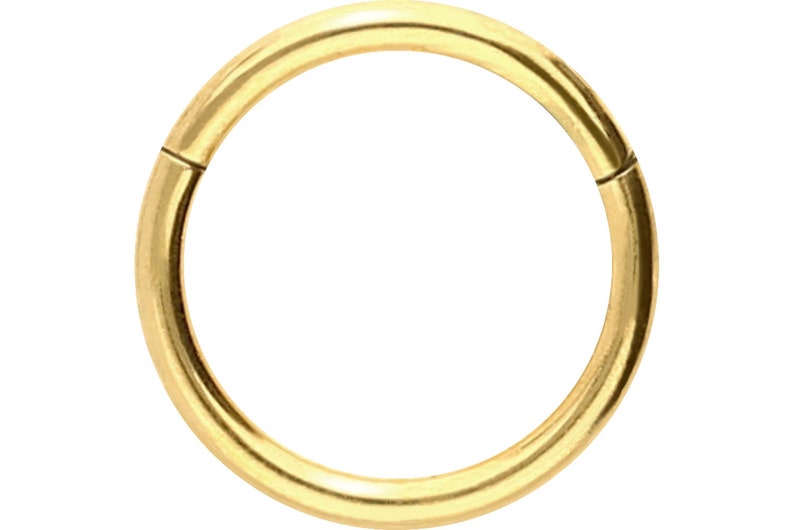 piercinginspiration® Titan Basic Ring Clicker Piercing Segmentring Ouro