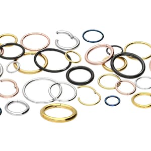 piercinginspiration® Titan Basic Ring Clicker Piercing Segmentring imagem 1