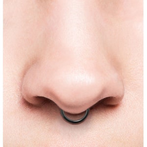 piercinginspiration® Titan Basic Ring Clicker Piercing Segmentring imagem 2