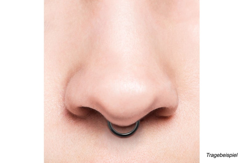 piercinginspiration® Titan Basic Ring Clicker Piercing Segmentring imagem 2